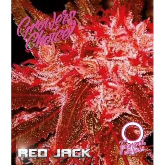 Growers Choice Red Jack Auto - feminised