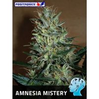 Positronics Amnesia Mistery - feminised