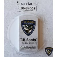 T.H. Seeds Stracciatella Do-Si-Dos X Sbc - feminised