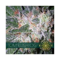 Trikoma Seeds Nicole OG Kush - feminised