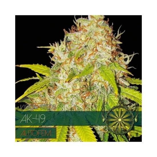 Vision Seeds AK-49 Auto - feminised