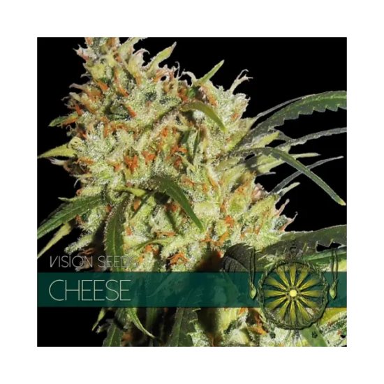 Vision Seeds Cheese - feminised