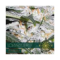 Vision Seeds Lowryder Auto - feminised