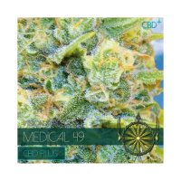 Vision Seeds Medical 49 - CBD+ - feminised