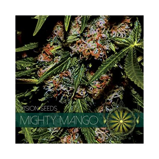 Vision Seeds Mighty Mango Bud - feminised