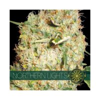 Vision Seeds Northern Lights - feminised