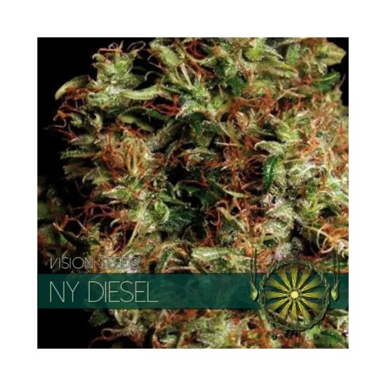 Vision Seeds Ny Diesel - feminised