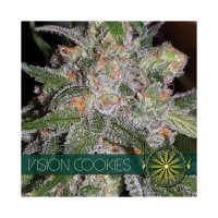 Vision Seeds Vision Cookies - feminised