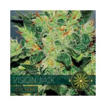 Vision Seeds Vision Jack Auto - feminised