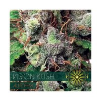 Vision Seeds Vision Kush Auto - feminised