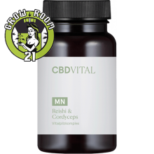 CBD VITAL Reishi & Cordyceps 60 Kapseln