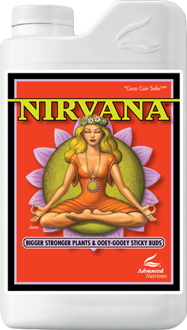 ADVANCED N. - Nirvana Click image to close