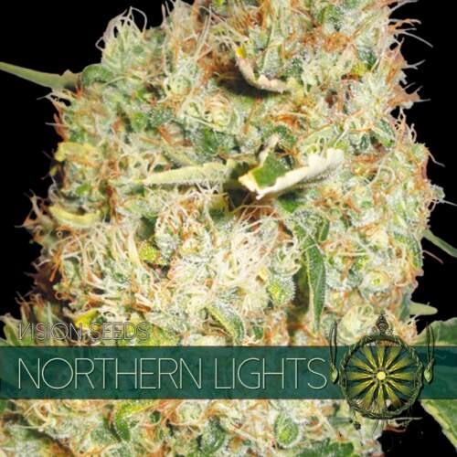 Vision Seeds Northern Lights Click image to close